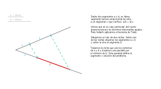 Tercero proporcional