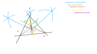 recta y segmento de EULER