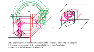 Selectividad. CristinaL