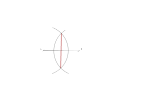 53. Actividades Complementarias