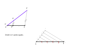 14. División de segmento
