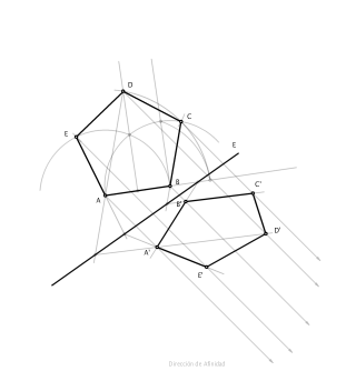 Afinidad Pentágono Selectividad