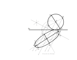 Selectividad. Homología 9.