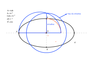 Baliokidetasuna: 6. ariketa