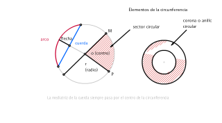 circunferencia