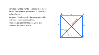 PLÁSTICA DE PRIMERO