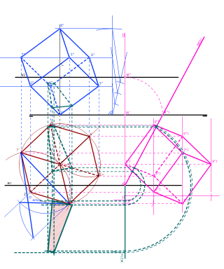 SECCIÓN POR PLANO PARALELO A L.T.