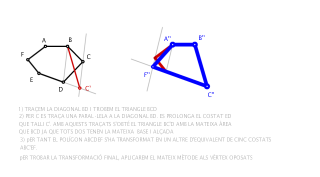 TRANSFORMACIONS ANAMÒRFIQUES