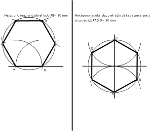 ALEJANDRA URIBE VELASCO
