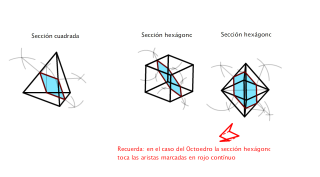 Secciones "especiales" de los poliedros