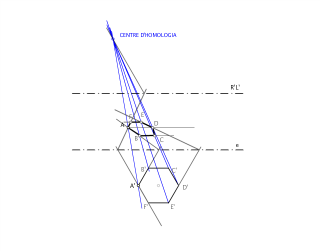 Homologia d'un hexàgon