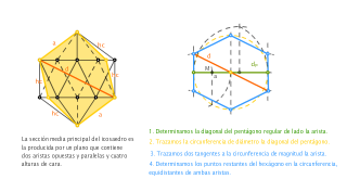 Icosaedro. Sección principal