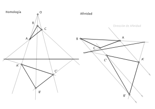 Homología y Afinidad