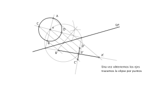 Dada la circunferencia dibujar su transformación por Homología afín.