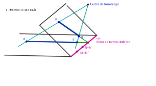 2º BAC - TEMA 7 - HOMOLOGÍA Y AFINIDAD