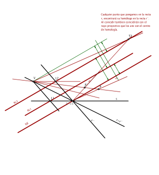 EJERCICIOS_HOMOLOGÍA_4