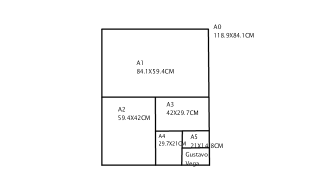 medidas de las hojas
