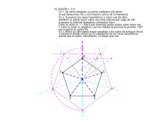 EJ.03.5.2_GM.Transformaciones GeométricasHOMOTECIA