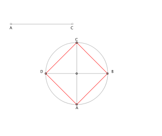 QUADRAT DONADA LA DIAGONAL