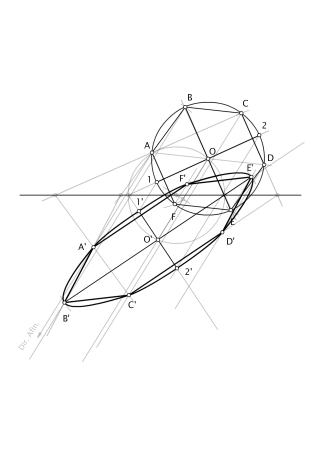 HOMOLOGÍA-AFINIDAD SEL 2