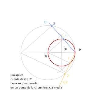 Circunferencia media