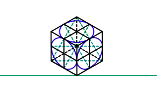 hola perros y perras