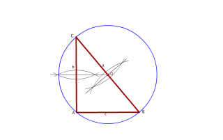 Triángulo rectángulo