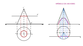 CONO 10: SECCIÓN POR UN PLANO HORIZONTAL O FRONTAL