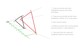 TRANSFORMACIONS_ homotècia