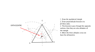 Important lines and points in a triangle