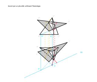Secció per un pla oblic utilitzant l'homologia