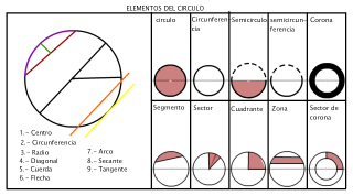ELEMENTOS DEL CIRCULO 2 AMQ