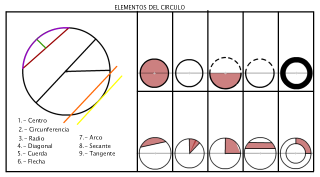 ELEMENTOS DEL CIRCULO AMQ