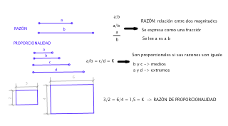 Concepto de proporcionalidad
