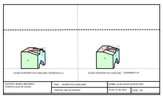 PERPECTIVA CABALLERO